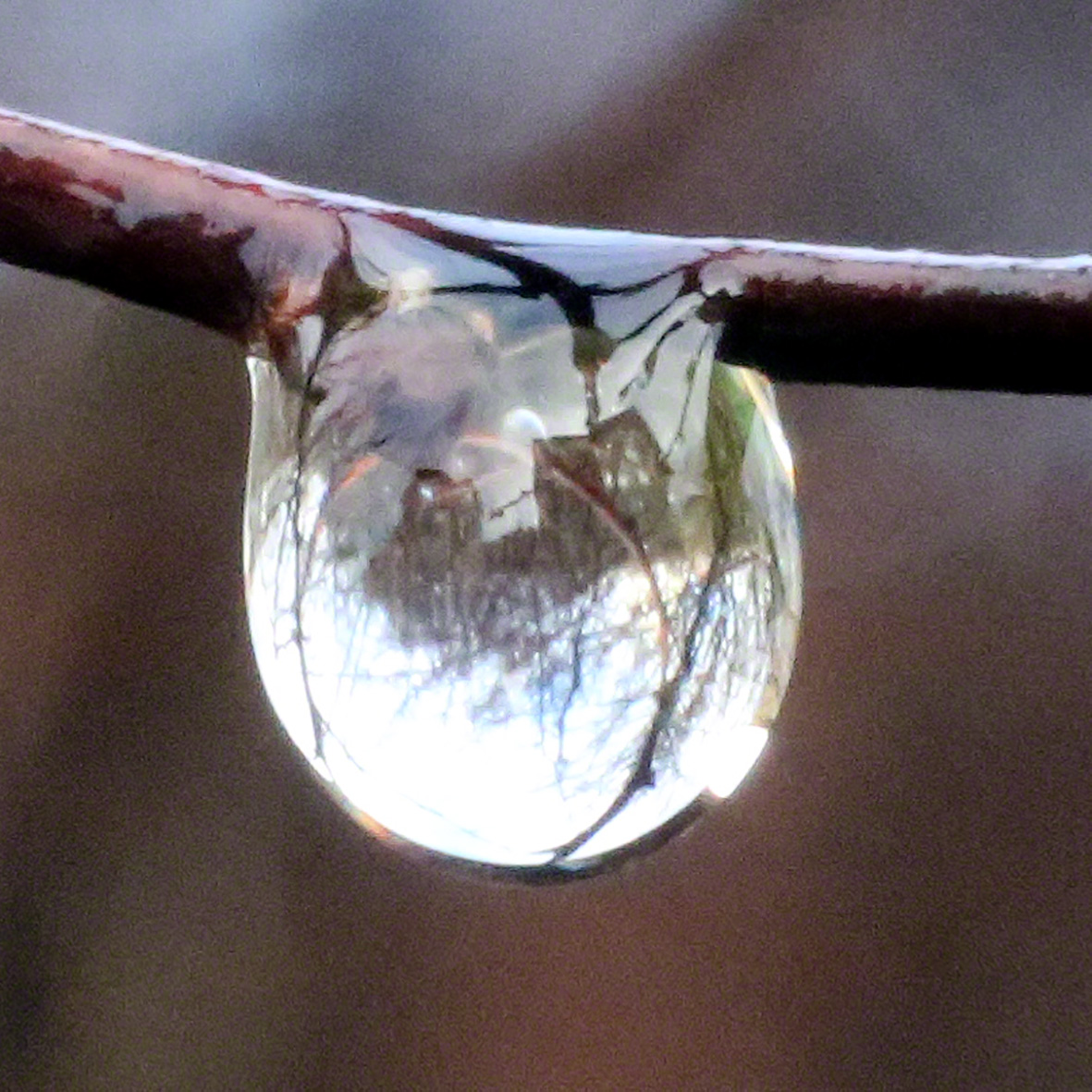 die Welt im Wassertropfen